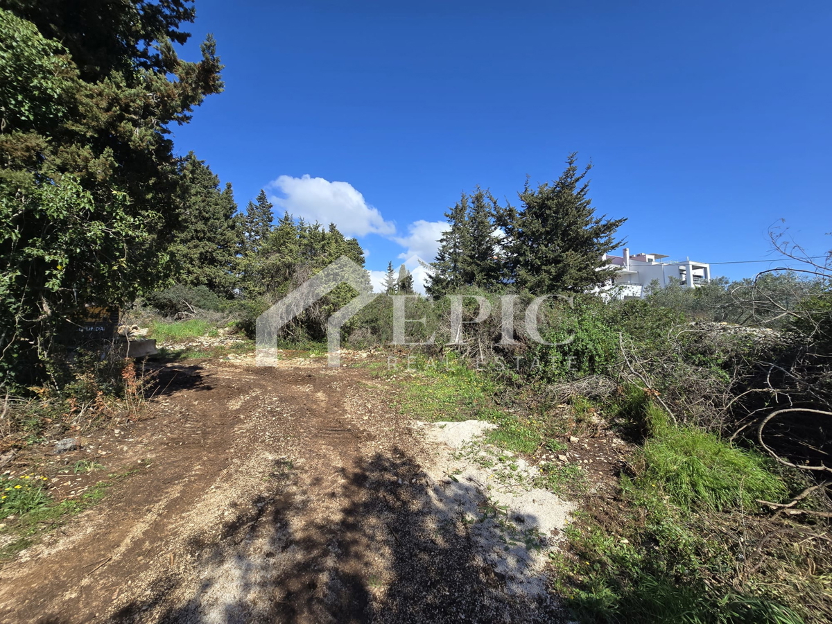 DIKLO, ZADAR - ATTRATTIVA TERRENO