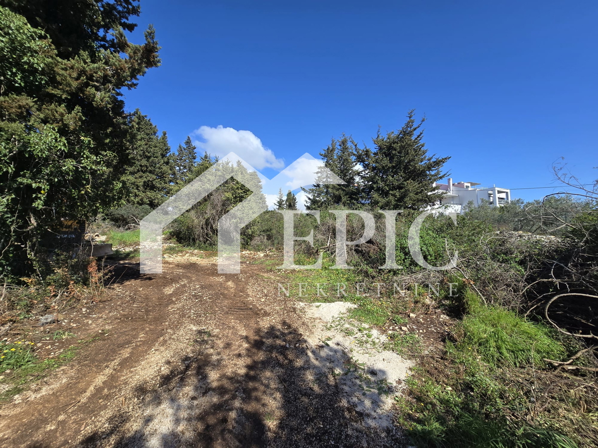 DIKLO, ZADAR - ATTRATTIVA TERRENO