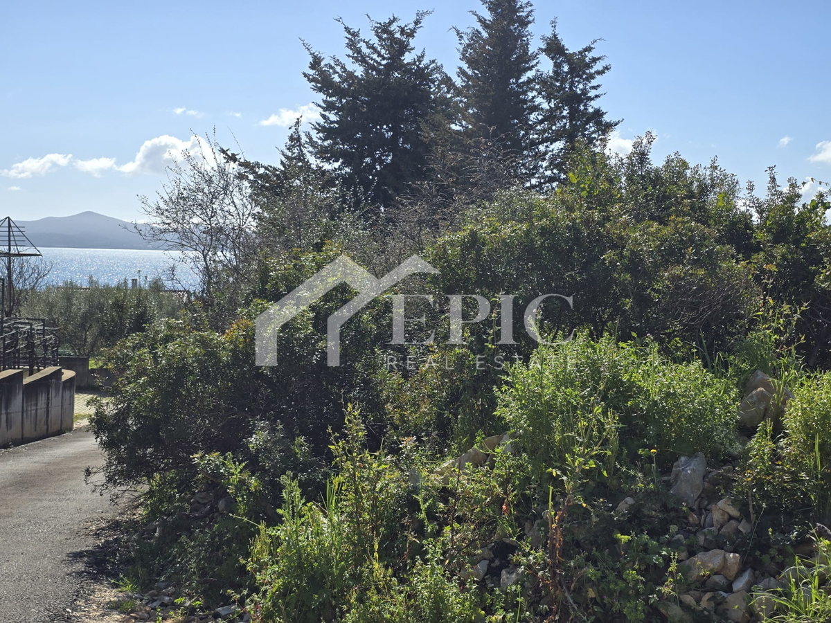 DIKLO, ZADAR - ATTRATTIVA TERRENO