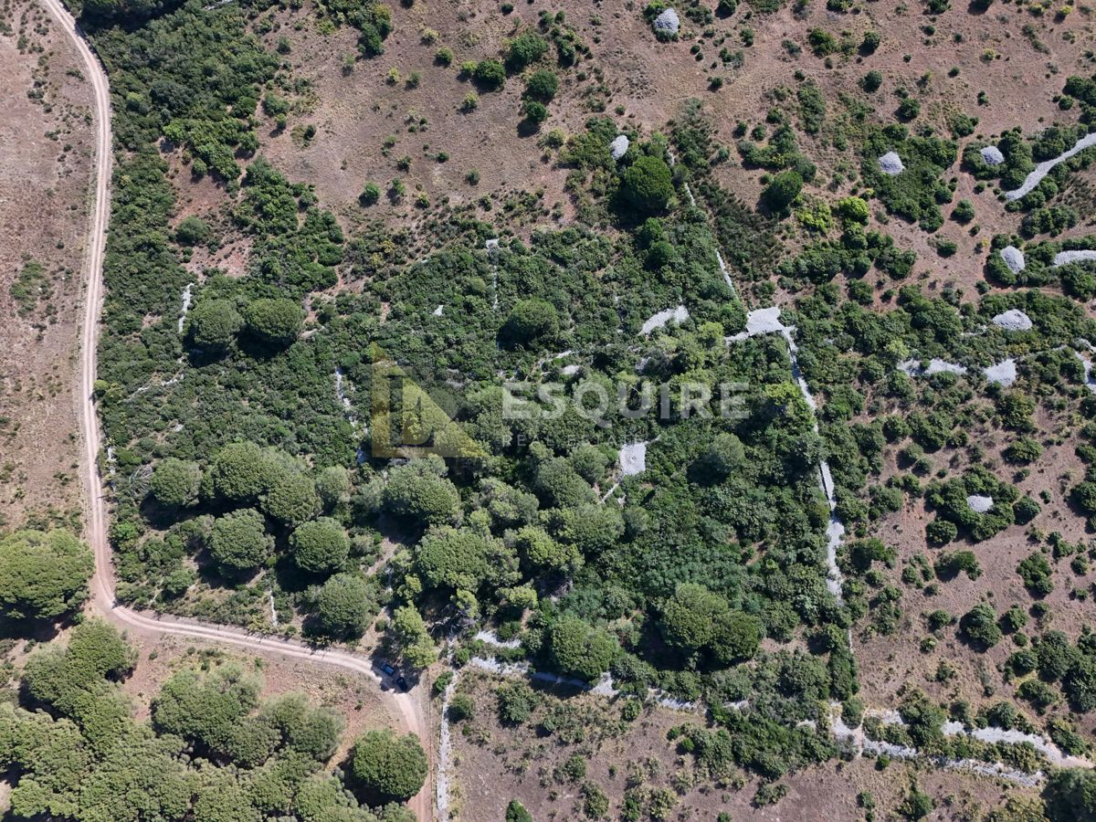 Terreno Diklo, Zadar, 4.599m2