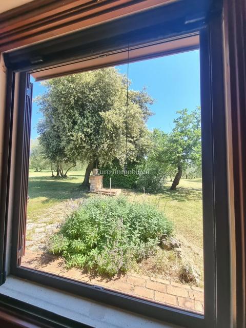 Parenzo, dintorni - proprietà con casa in pietra