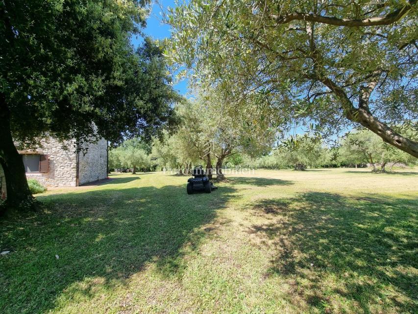 Parenzo, dintorni - proprietà con casa in pietra