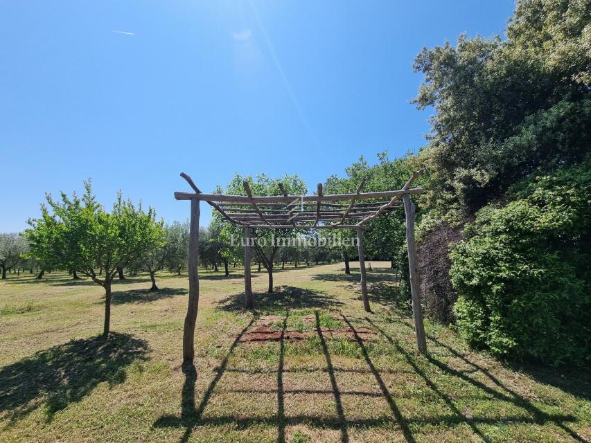 Parenzo, dintorni - proprietà con casa in pietra