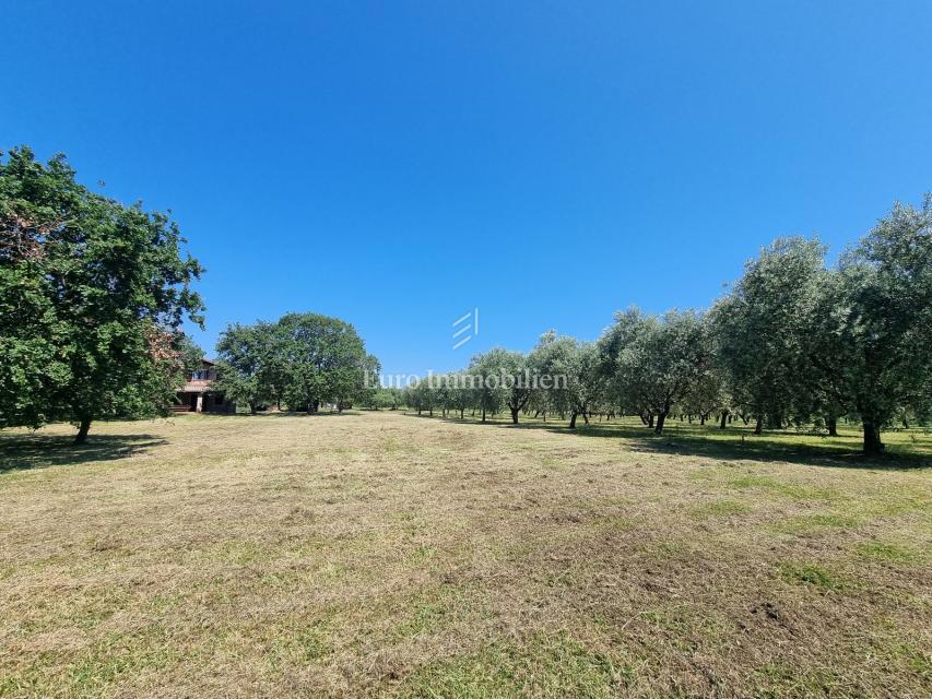 Parenzo, dintorni - proprietà con casa in pietra