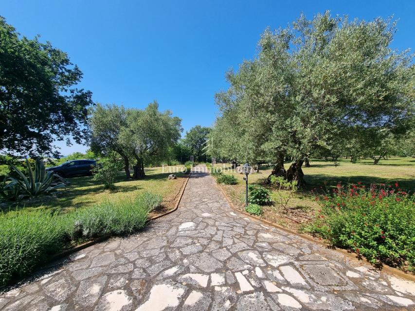 Parenzo, dintorni - proprietà con casa in pietra