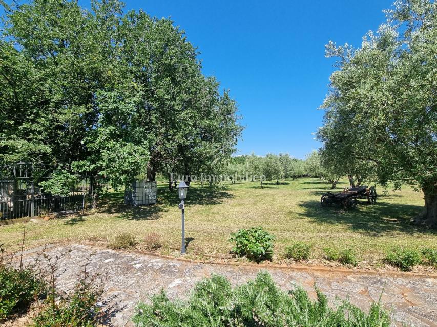Parenzo, dintorni - proprietà con casa in pietra