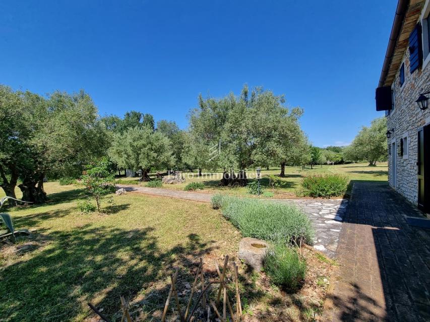 Parenzo, dintorni - proprietà con casa in pietra