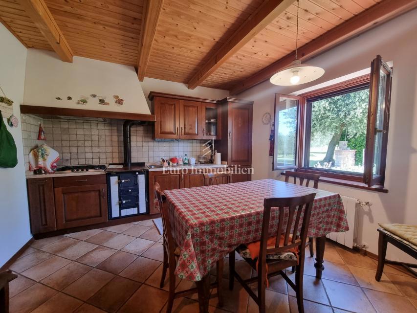 Parenzo, dintorni - proprietà con casa in pietra