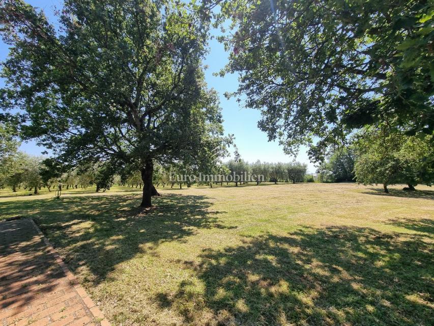 Parenzo, dintorni - proprietà con casa in pietra