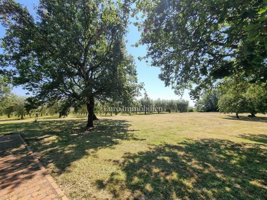 Parenzo, dintorni - proprietà con casa in pietra