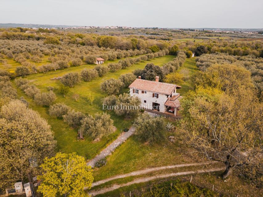 Parenzo, dintorni - proprietà con casa in pietra