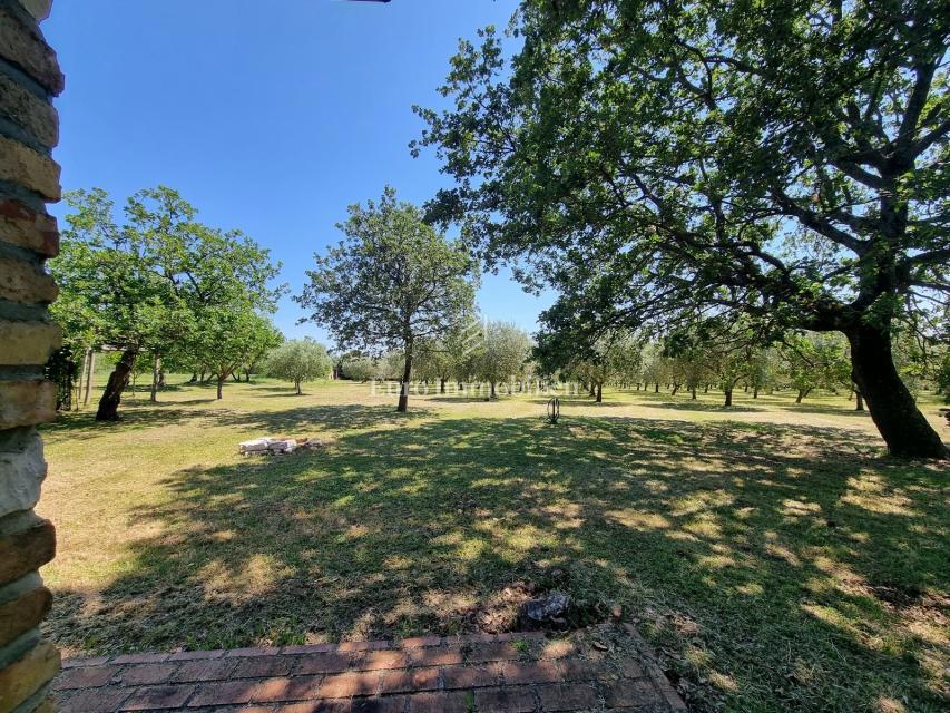 Parenzo, dintorni - proprietà con casa in pietra