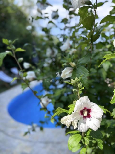 Due Case in Pietra Ristrutturate con Piscina