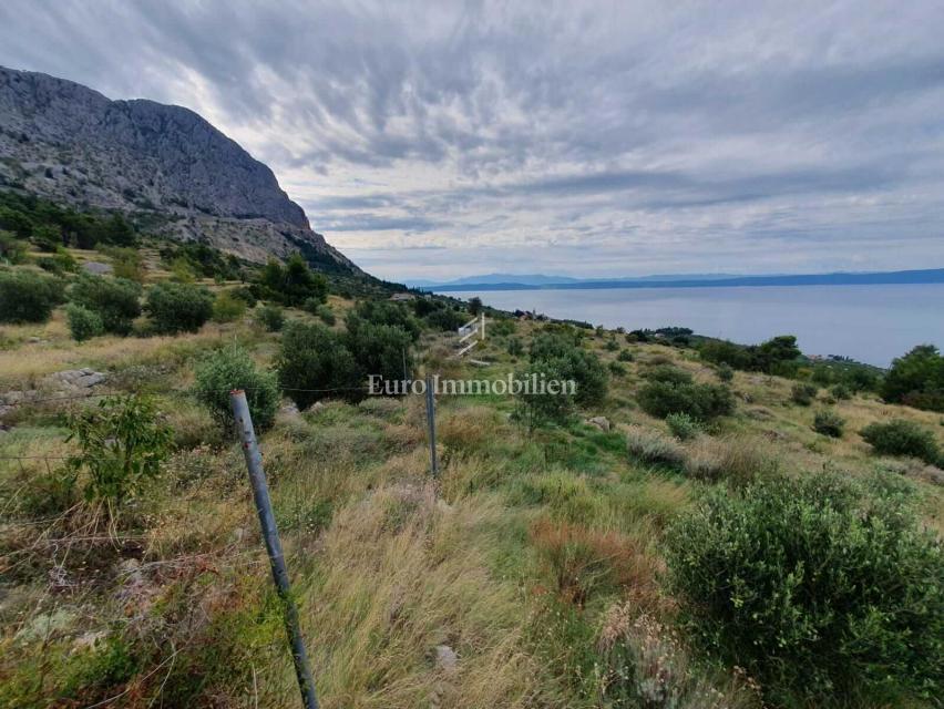 Terreno agricolo a Gornja Podgora
