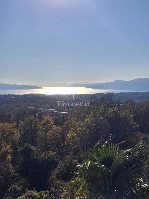 VIŠKOVO, casa indipendente con spazio commerciale, 2 garage