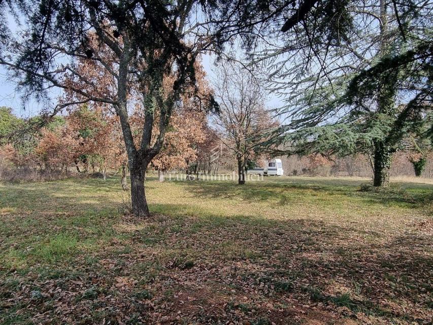 POREČ SALADINKA!!! Terreno edificabile a scopo turistico a 320 m dal mare