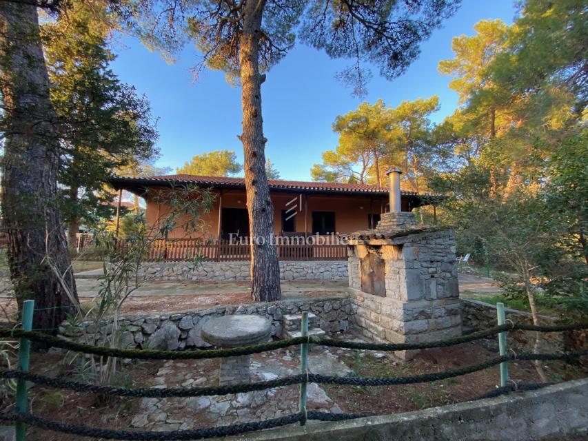 Piccolo Lussino, casa vicino al mare e alla spiaggia