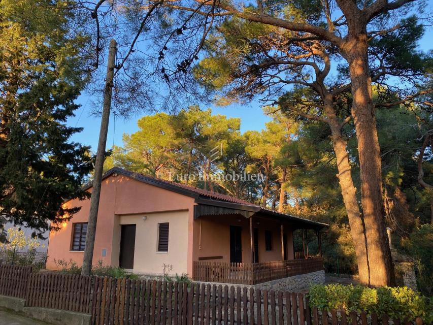 Piccolo Lussino, casa vicino al mare e alla spiaggia