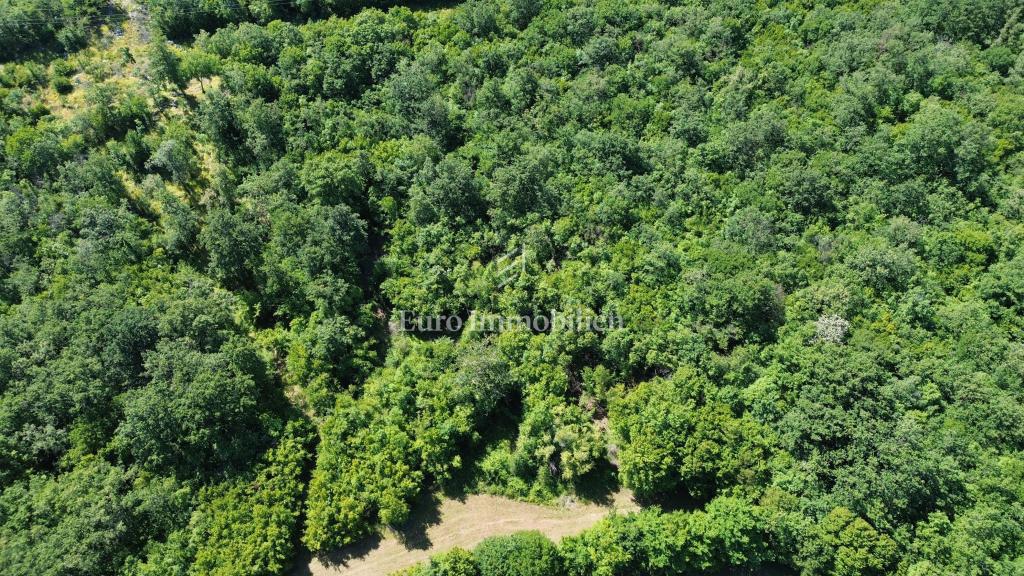 Terreno agricolo - isola di Krk - Dobrinj