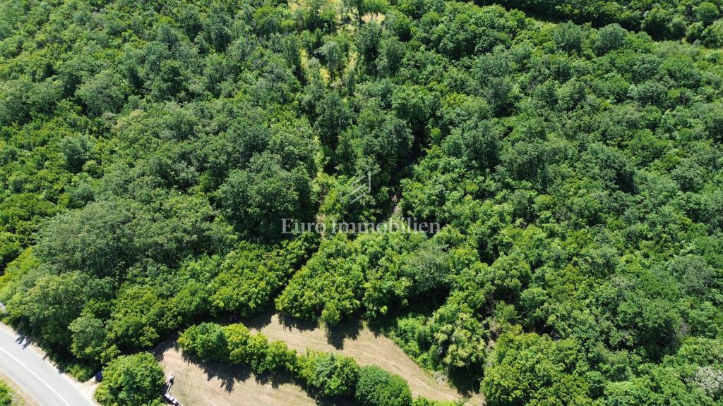 Terreno agricolo - isola di Krk - Dobrinj