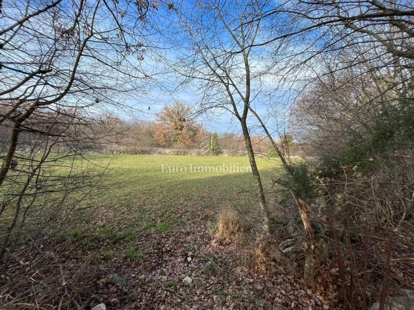 Terreno edificabile con progetto concettuale vicino a Dobrinj sull'isola di Krk