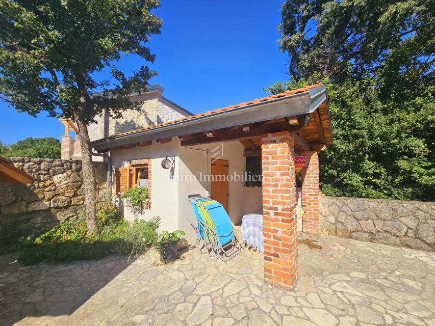 Due case con un bel giardino e piscina!