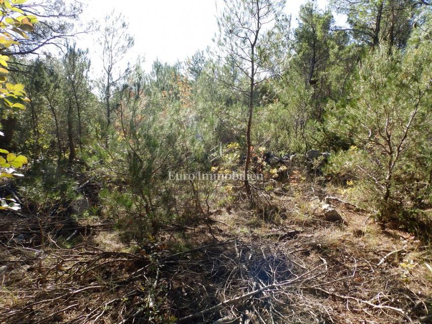 Dubrava, Sebenico - terreno edificabile con capannone