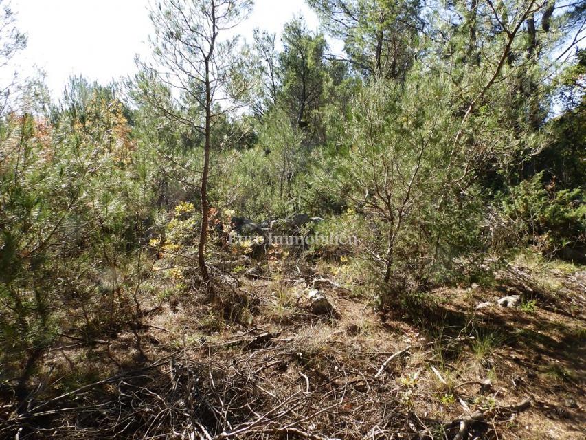 Dubrava, Sebenico - terreno edificabile con capannone
