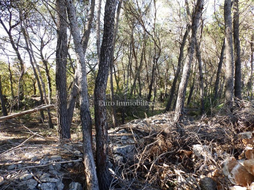 Dubrava, Sebenico - terreno edificabile con capannone