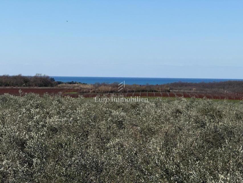 Istria - Casa in stile mediterraneo, vista mare