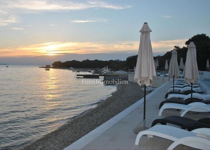 Zara, dintorni - appartamento con due giardini e terrazza