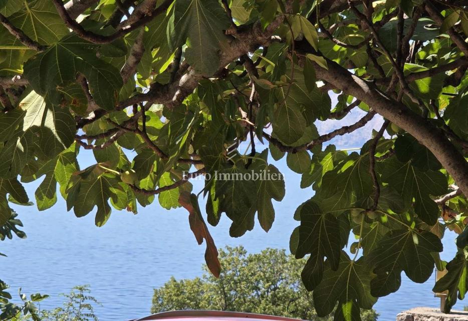 Novi Vinodolski, Smokvica Krmpotska, casa con due appartamenti