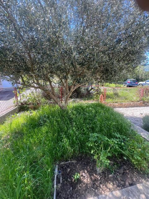 Donji Karin - casa con vista sul mare aperto