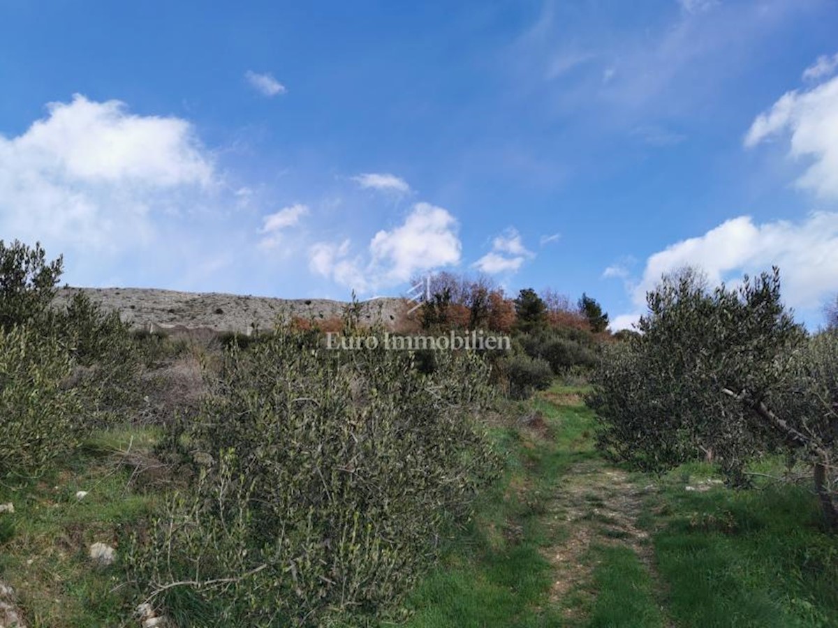 Podstrana near Split, agricultural land with a building permit!