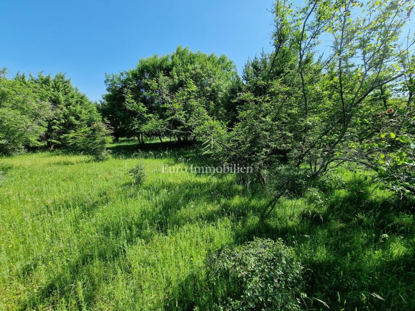 Terreno agricolo adatto ad uliveto