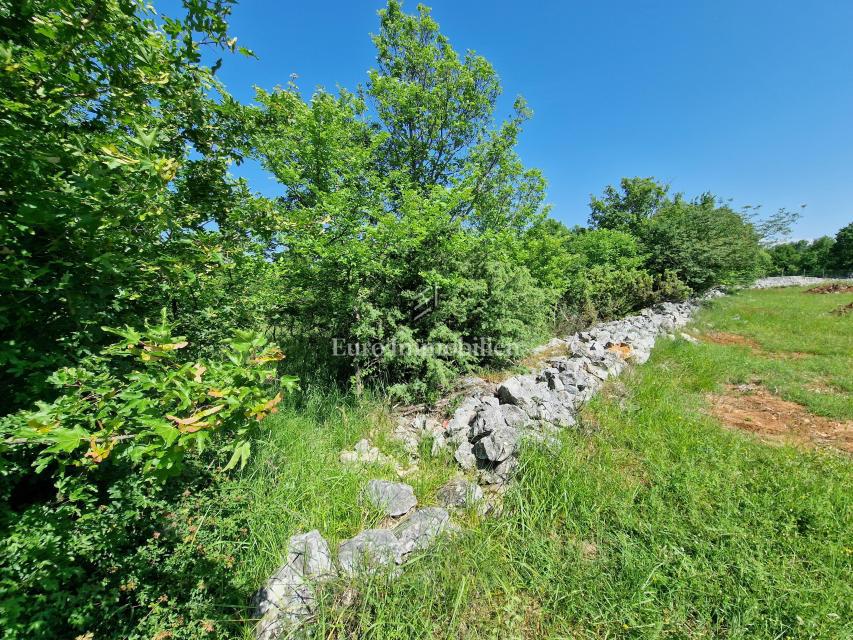 Terreno agricolo adatto ad uliveto