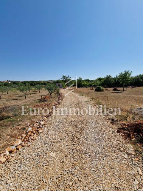 Terreno agricolo adatto ad uliveto