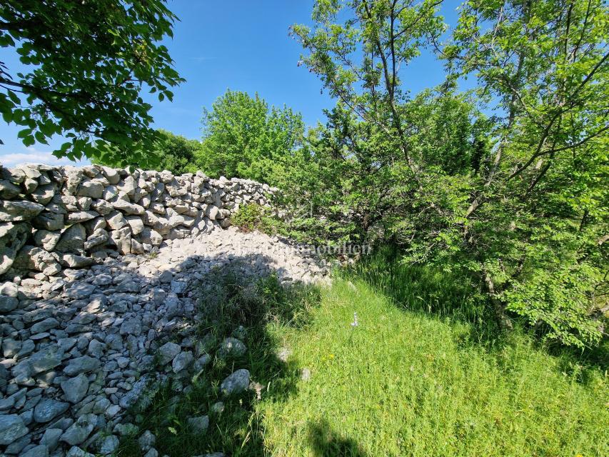 Terreno agricolo adatto ad uliveto