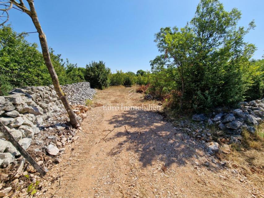 Terreno agricolo adatto ad uliveto