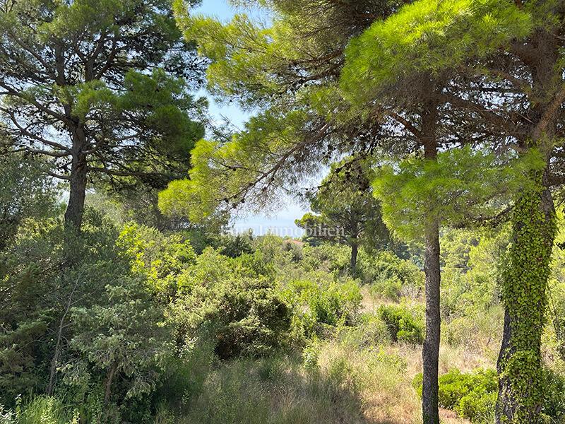 Casa con vista mare, posizione tranquilla