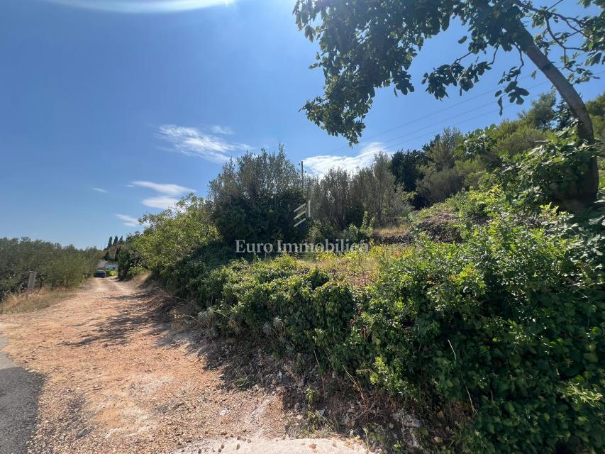 Ugljan - terreno con progetto concettuale per una villa