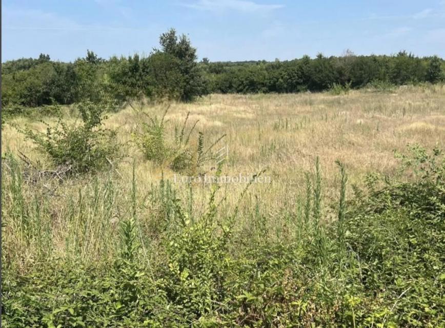 Istria, zona di Dignano, terreno edificabile con permesso di costruzione