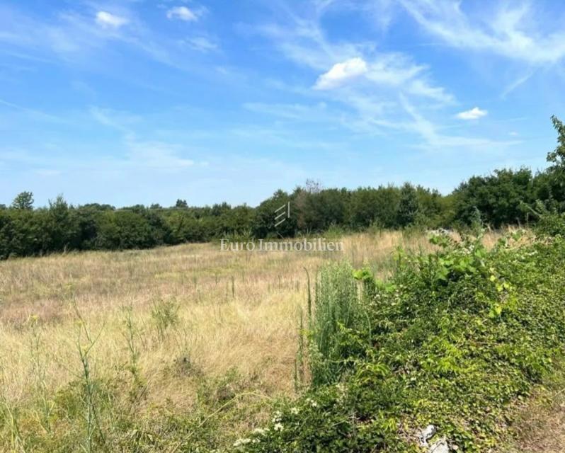 Istria, zona di Dignano, terreno edificabile con permesso di costruzione