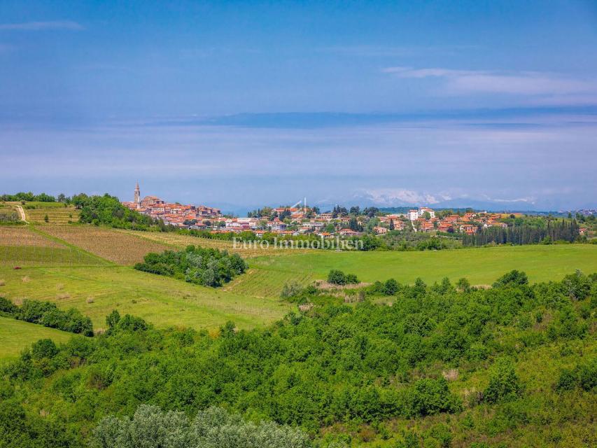 Casa in pietra con piscina e ampio giardino, Buje