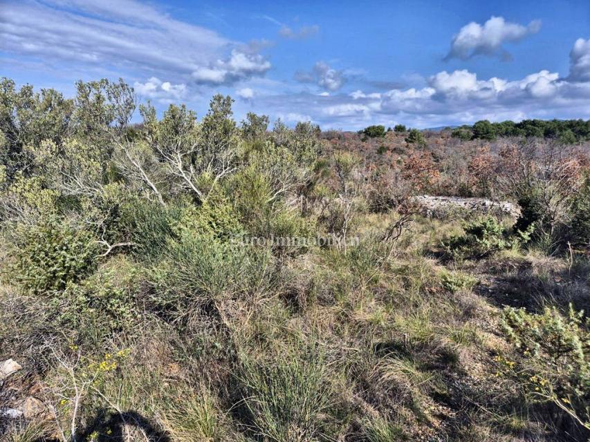 Betina, terreno agricolo in seconda fila verso il mare