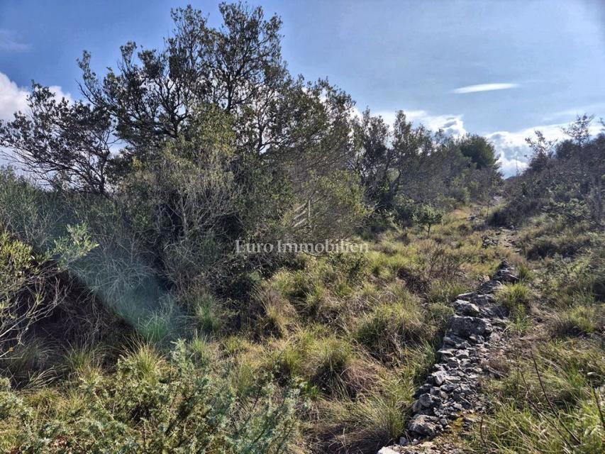 Betina, terreno agricolo in seconda fila verso il mare