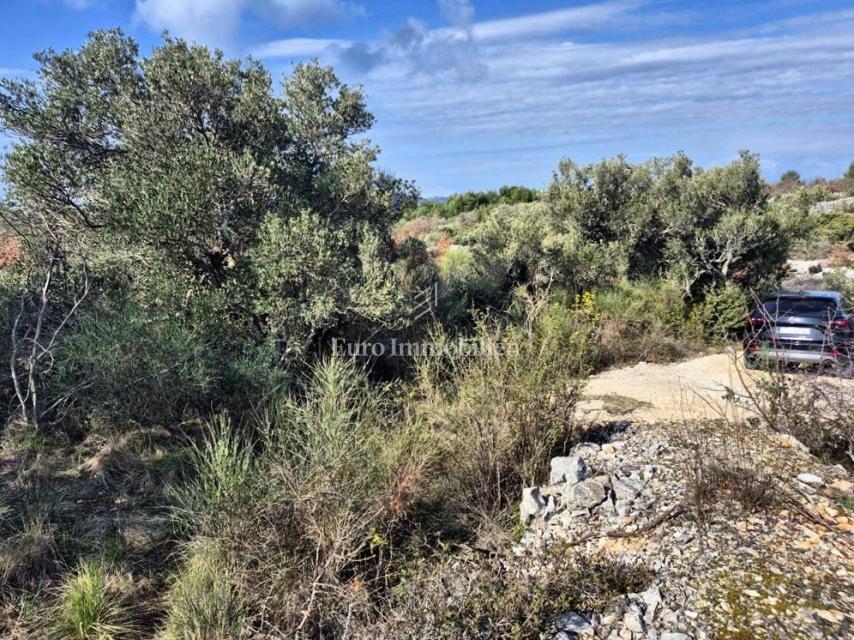 Betina, terreno agricolo in seconda fila verso il mare