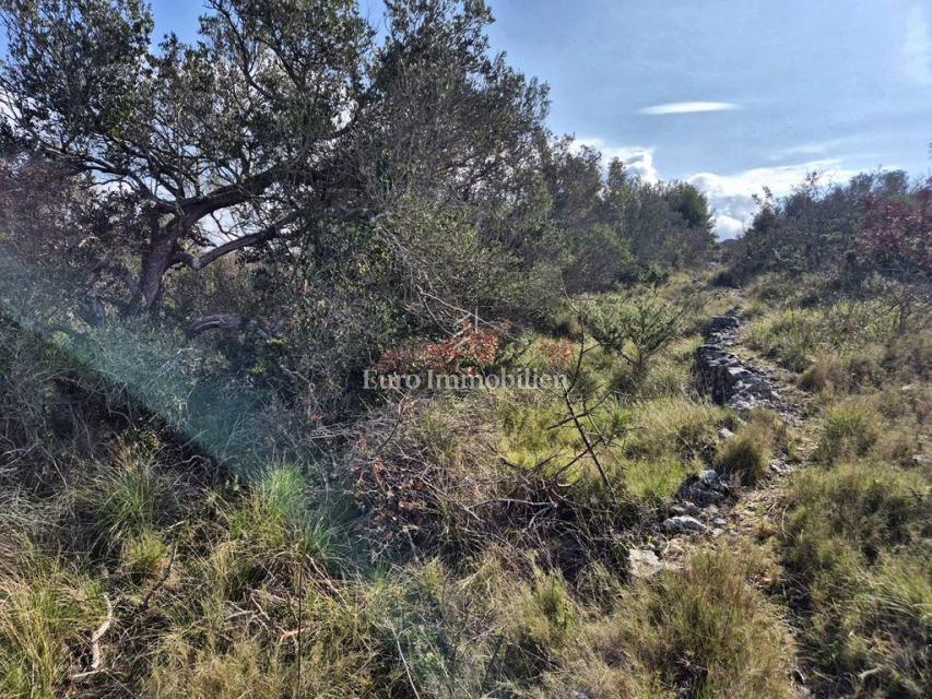 Betina, terreno agricolo in seconda fila verso il mare