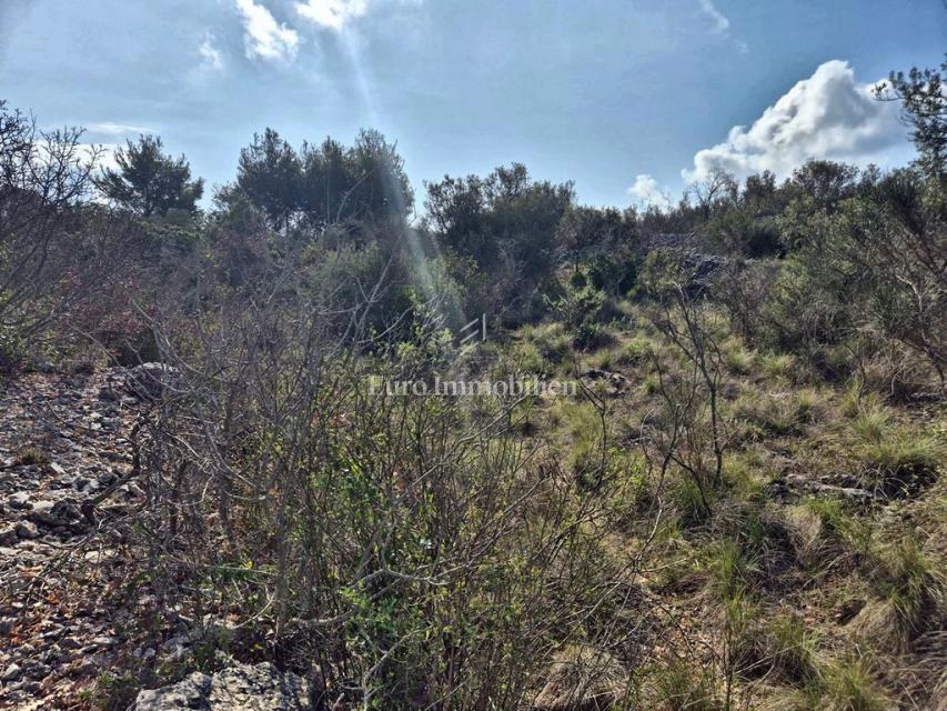 Betina, terreno agricolo in seconda fila verso il mare