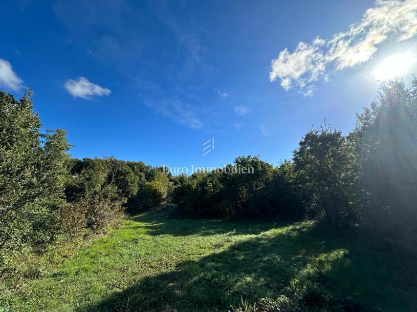 Albona - terreno agricolo con vista mare